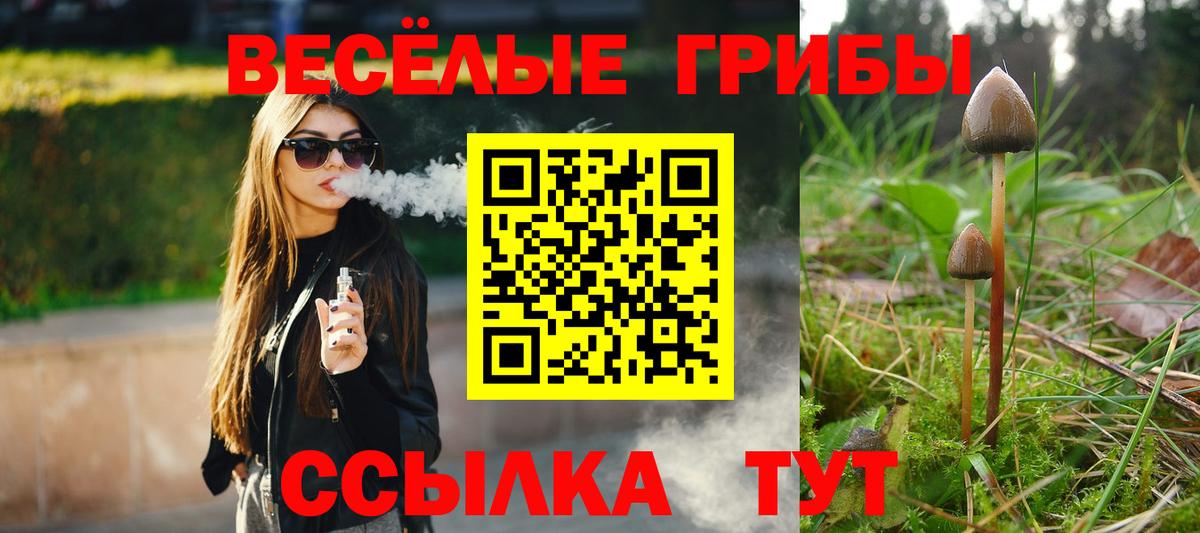 Галлюциногенные грибы Psilocybine cubensis  Вход с VPN  Углич 