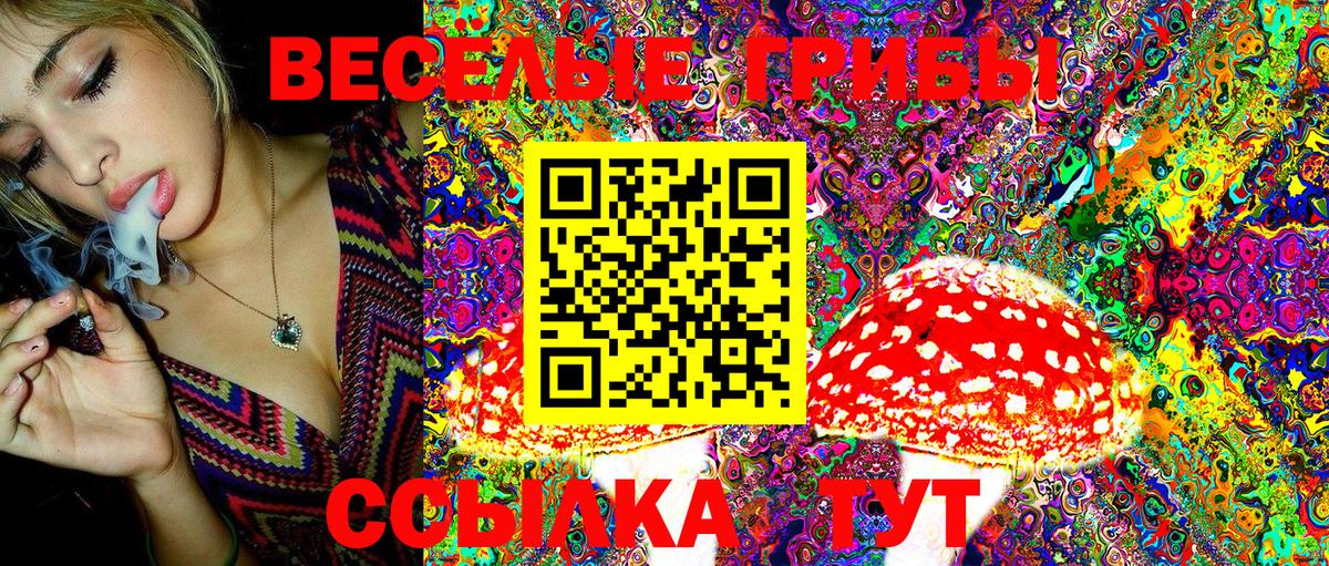 Галлюциногенные грибы ЛСД Углич